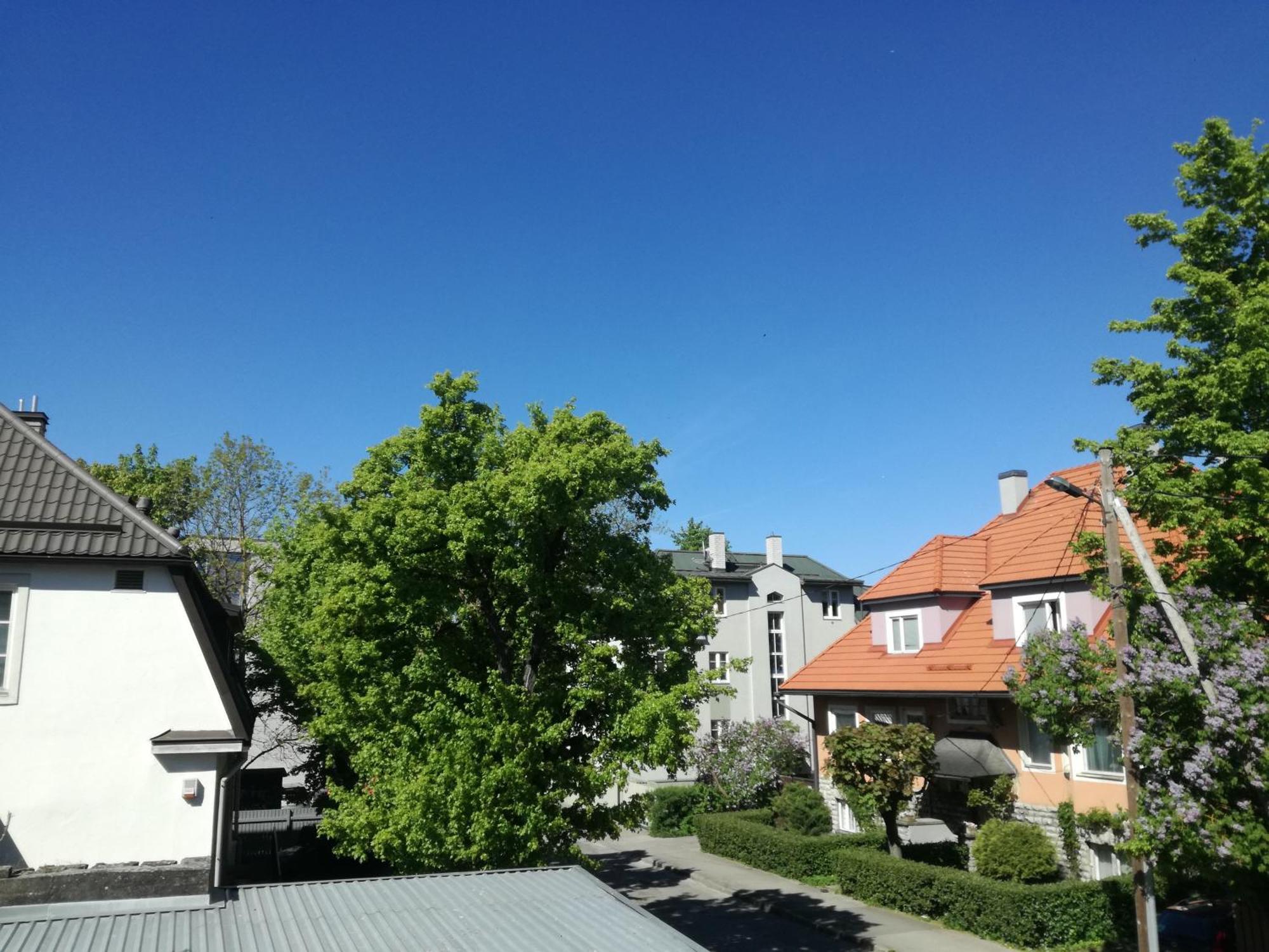 Wilken Apartments 2024 Tallinn Kültér fotó